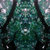 chlorophil thumbnail